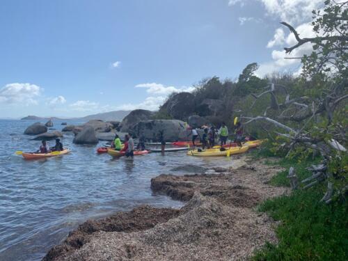 GroundSea Adventure Kayak Tour in the mangroves